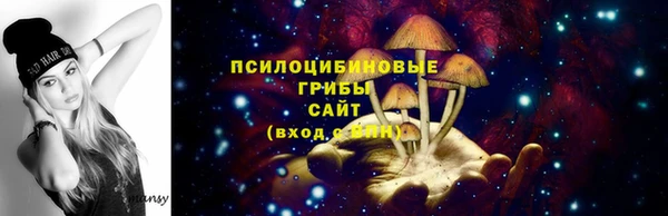 гидропоника Горнозаводск