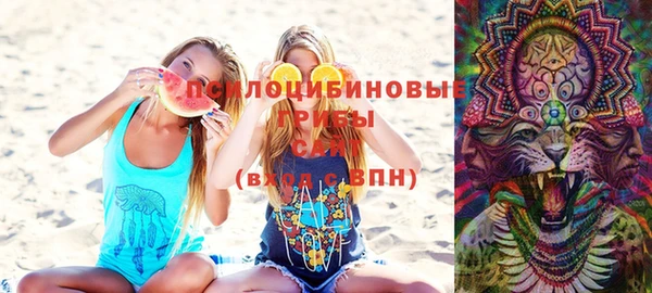 ешки Вяземский