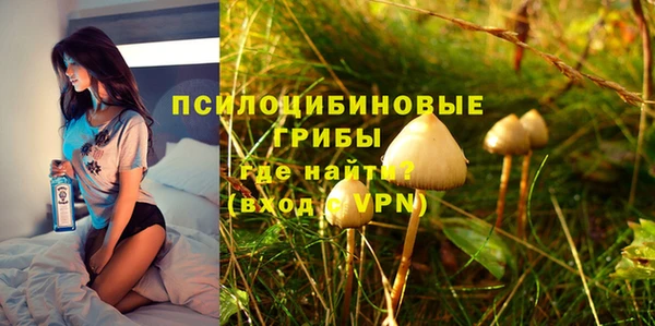 ешки Вяземский