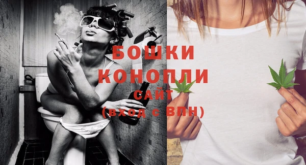 ешки Вяземский