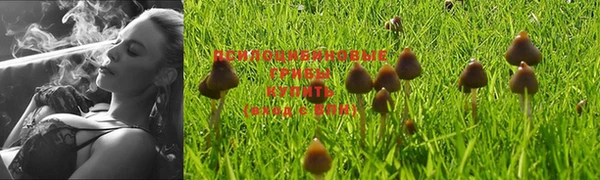 экстази Горно-Алтайск