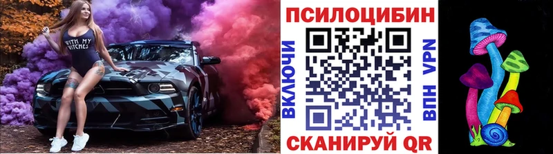 Галлюциногенные грибы Psilocybine cubensis  Купить  Новоржев 